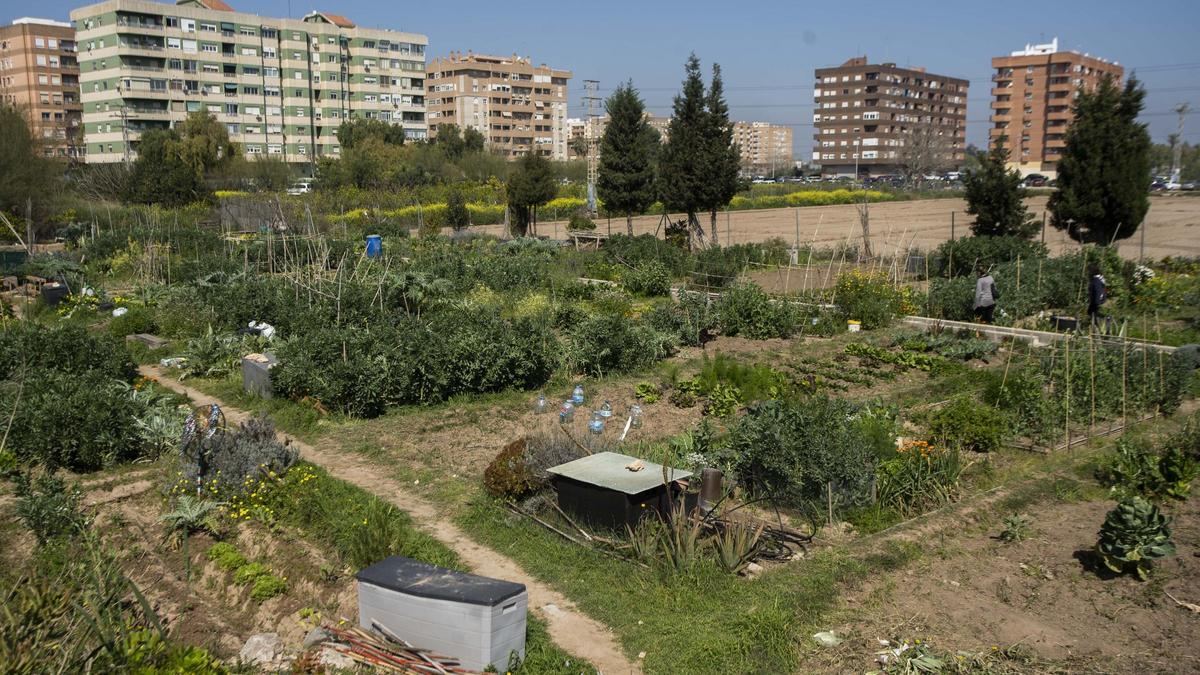 Los Vecinos De Benimaclet Piden A Giner El Soterramiento De La Ronda Norte