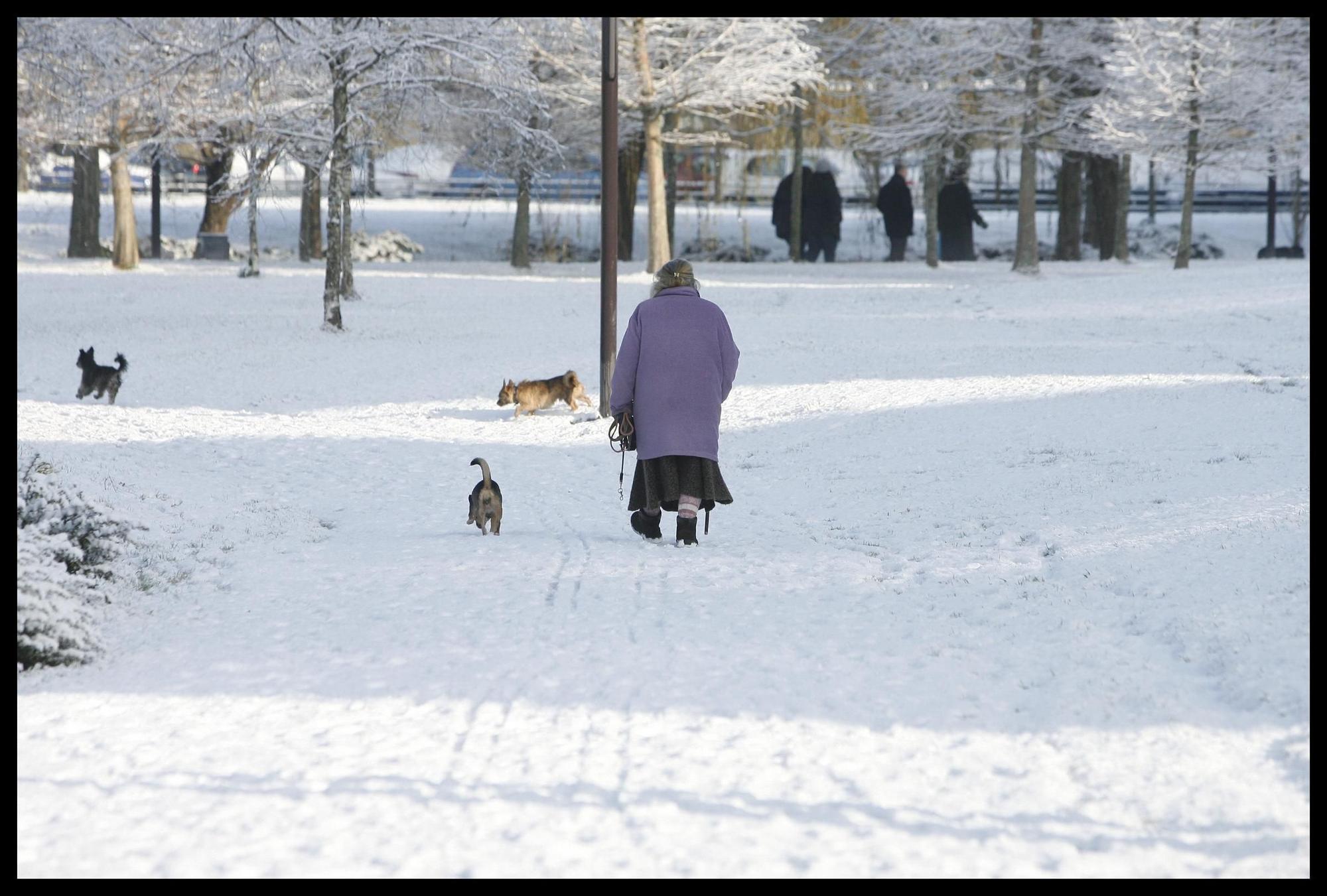 As Fue La Nevada Que En Ti De Blanco Santiago De Compostela