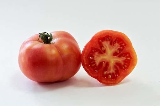 Die Mallorca-Tomate schlechthin ist die "Tomàtiga de ramellet", die an das trockene Klima angepasst ist und kaum Wasser braucht. Ein weiterer Vorteil: Sie ist wegen ihrer dicken Haut monatelang haltbar – und hierin unterscheidet sich das Original von den vielen dünnhäutigen Imitationen, die es inzwischen gibt. Sie sind meist viel billiger, aber auch viel wässriger, verderben deshalb schnell. Die Schale des Originals muss nicht unbedingt rot sein, manche Exemplare sind außen auch gelblich-orange. Die Ramellet-Tomate gehört mit Öl, Salz und Knoblauch auf jedes pa amb oli, eignet sich geschält aber auch für Salat.