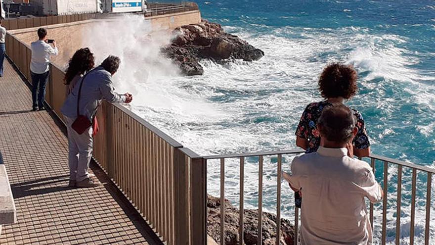 Alerta amarilla en Mallorca por vientos de hasta 80 kilómetros por hora