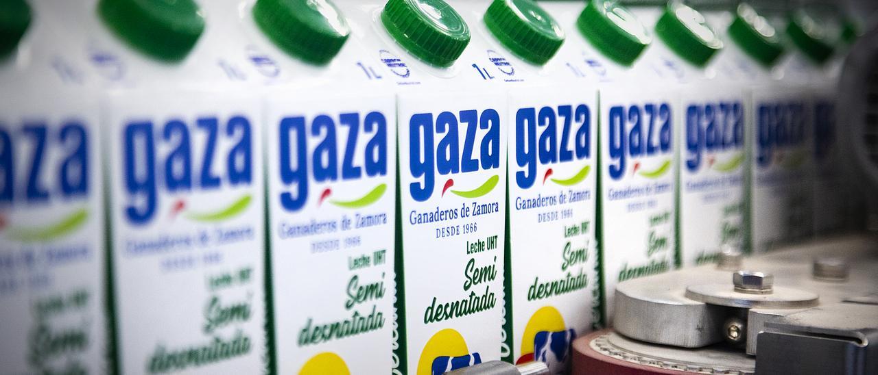 Envases en el interior de la fábrica de Leche Gaza. | L. O. Z.