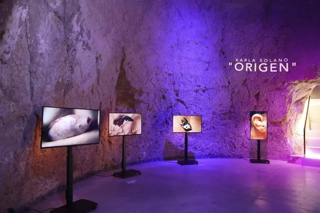 La artista costarricense Karla Solano instala "Origen" en la nueva sala multimedia del Museo de Aguas de Alicante