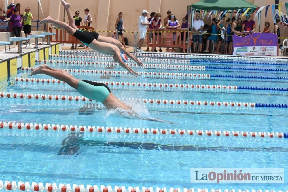 Final del Campeonato regional de natación.