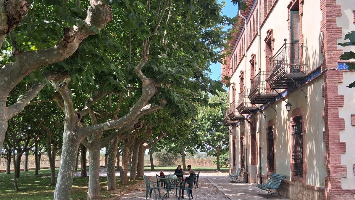 El Cortal Avinyó acull estades de voluntariat internacional.