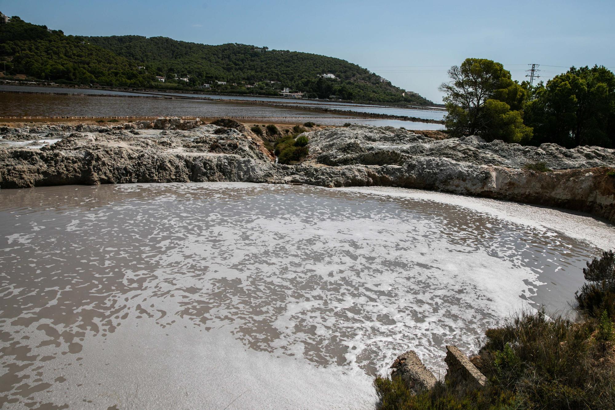 Salinera de Ibiza