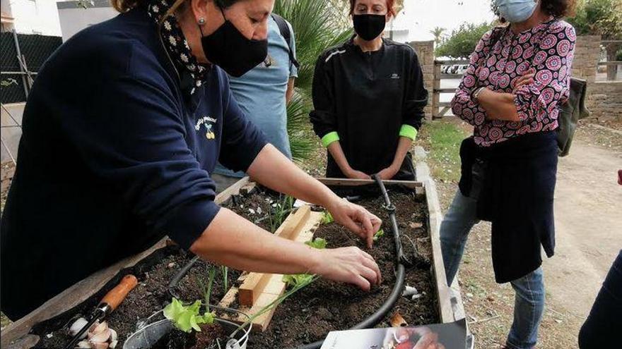 Nous encontres mediambientals per a docents de tota la província de Castelló