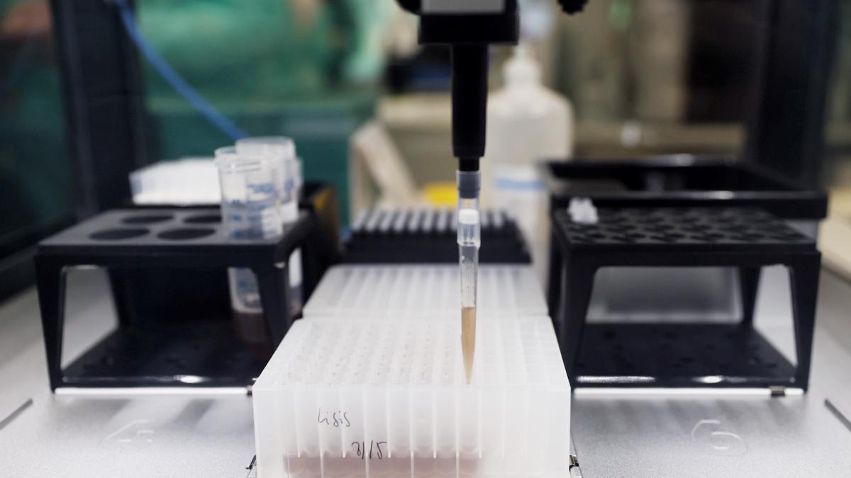 Probetas para pruebas PCR en un laboratorio.