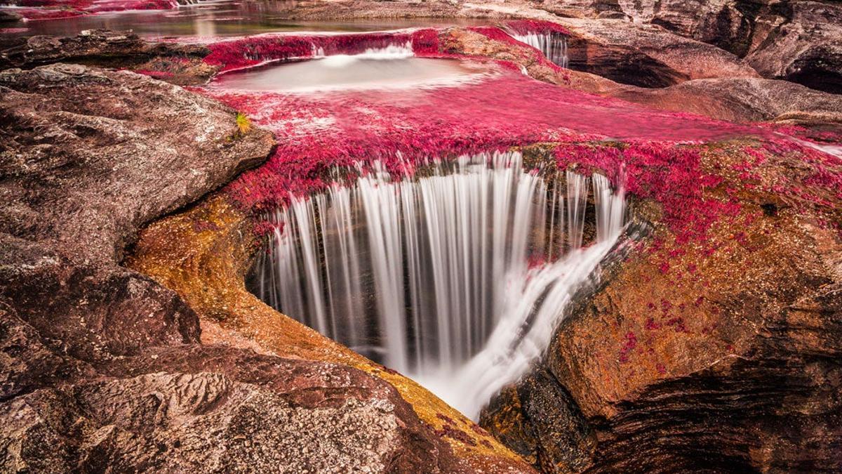 Caño Cristales, Colombia