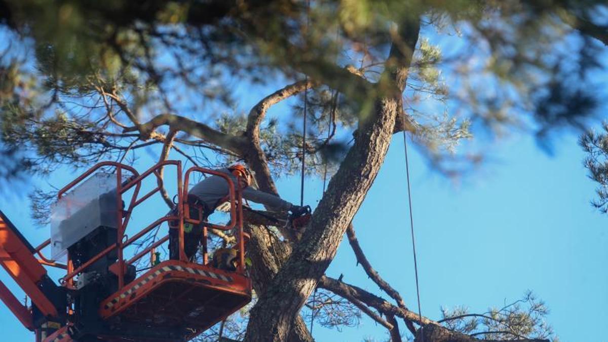 Operarios de Arbogal, en una inspección.