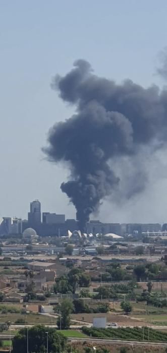 Incendio en l'Oceanogràfic de València