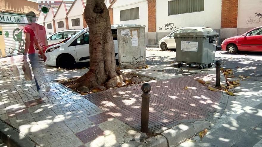 ?Los vecinos del barrio de Ardira llevan desde 2015 reclamando una solución para un paso de cebra que termina en un rebaje que se resquebraja de forma continua por la fuerza de un ficus. Se encuentra en el cruce de las calles Alcalde José María Corona con Cúchares y las continuas reparaciones municipales no han servido de mucho. El verano pasado, Parques y Jardines descartó mover el ficus e indicó que técnicos de Tráfico examinarían la zona por si era posible mover el paso de cebra. De momento, sigue inamovible.