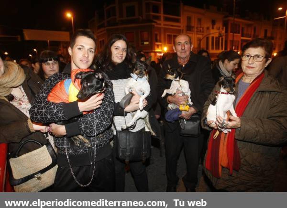 GALERÍA DE FOTOS - Bendición de los animales por Sant Antoni en Vila-real