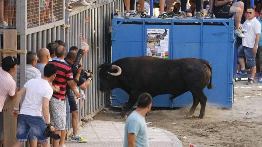 El Grao celebrará en San Pedro al menos seis toros cerriles de peñas