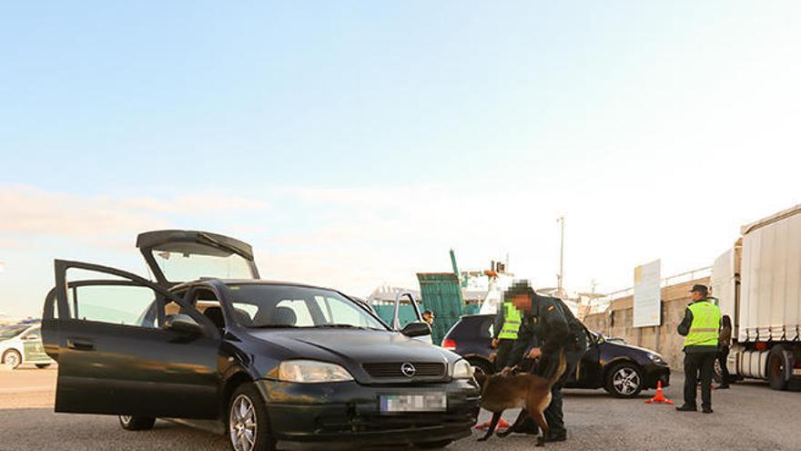 Die Drogenspürhunde leisten für die Guardia Civil gute Arbeit.