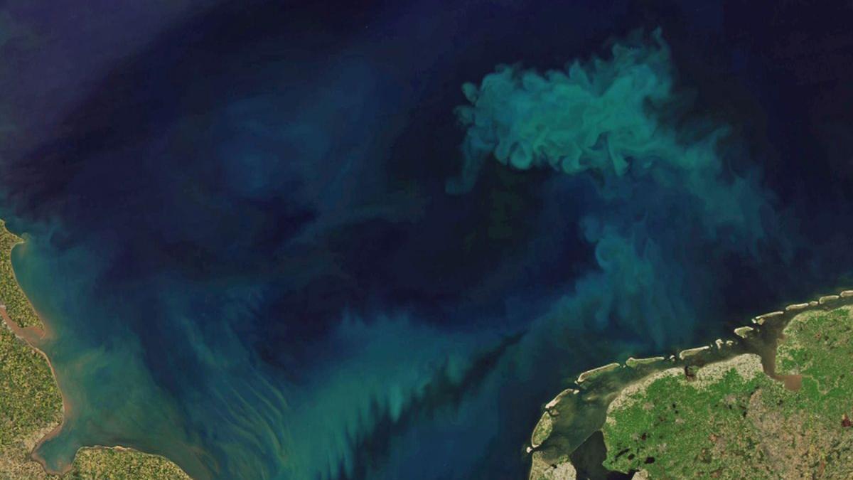 Loa cambios en el color de los océanos fueron analizados a través de las mediciones tomadas por un instrumento especializado a bordo del satélite Aqua, dedicado a esta tarea durante 21 años.