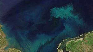 Loa cambios en el color de los océanos fueron analizados a través de las mediciones tomadas por un instrumento especializado a bordo del satélite Aqua, dedicado a esta tarea durante 21 años.