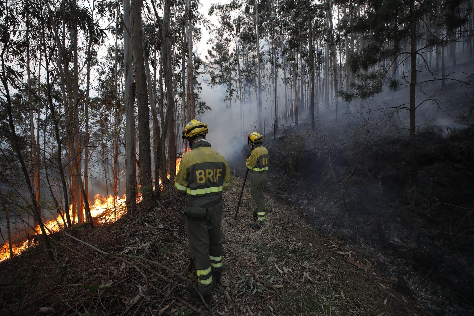 Incendios en la zona de La Venta, Valdés