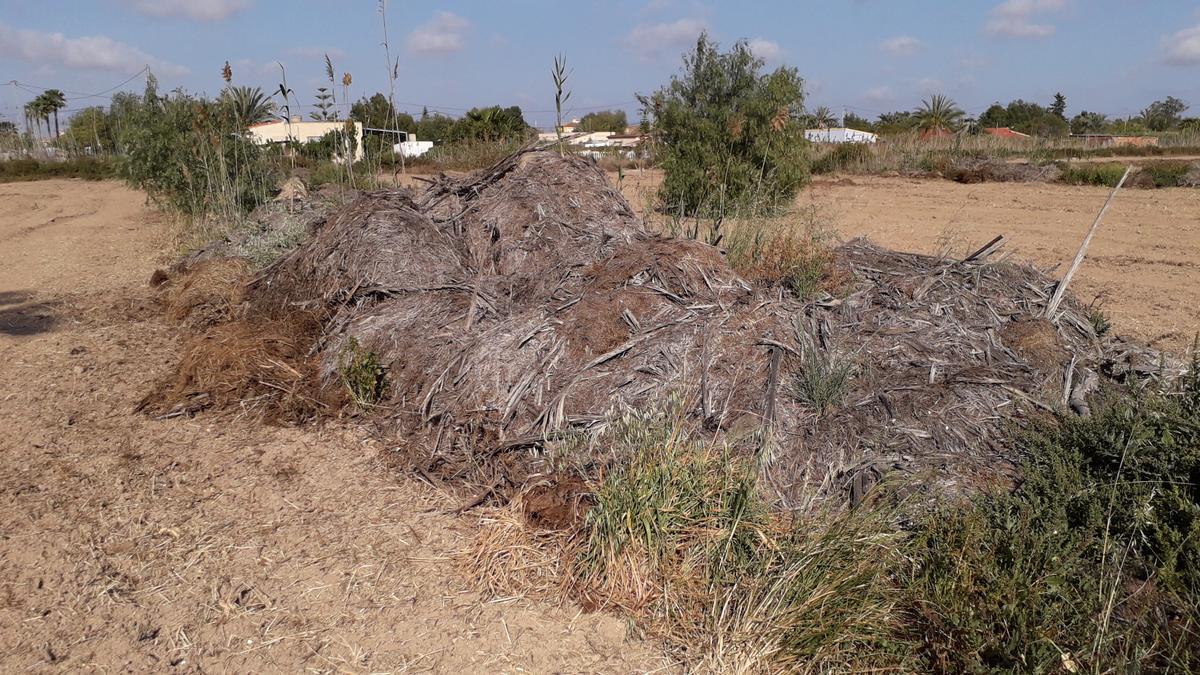 Acumulación de restos de poda en la parcela que los matorrales terminaron por tapar y que ardieron en el incendio de Elche