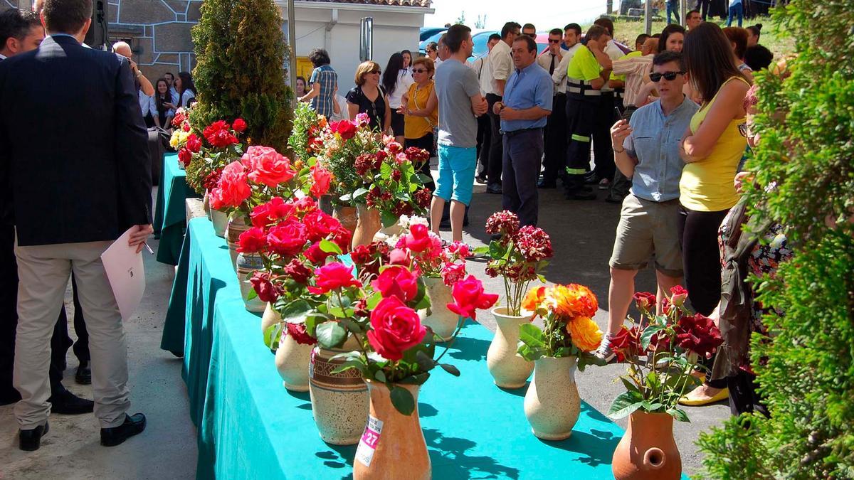 Flores participantes no concurso de rosas nunha edición anterior. | D.P