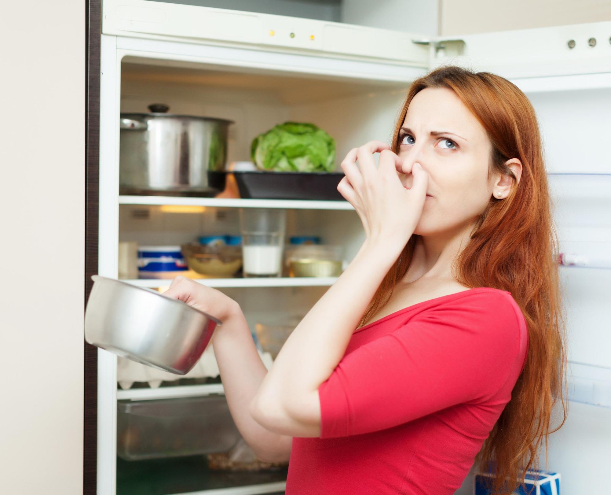 MAL OLOR CONGELADOR  Mal olor en el congelador: ¿a qué se debe y cómo  acabar con él?