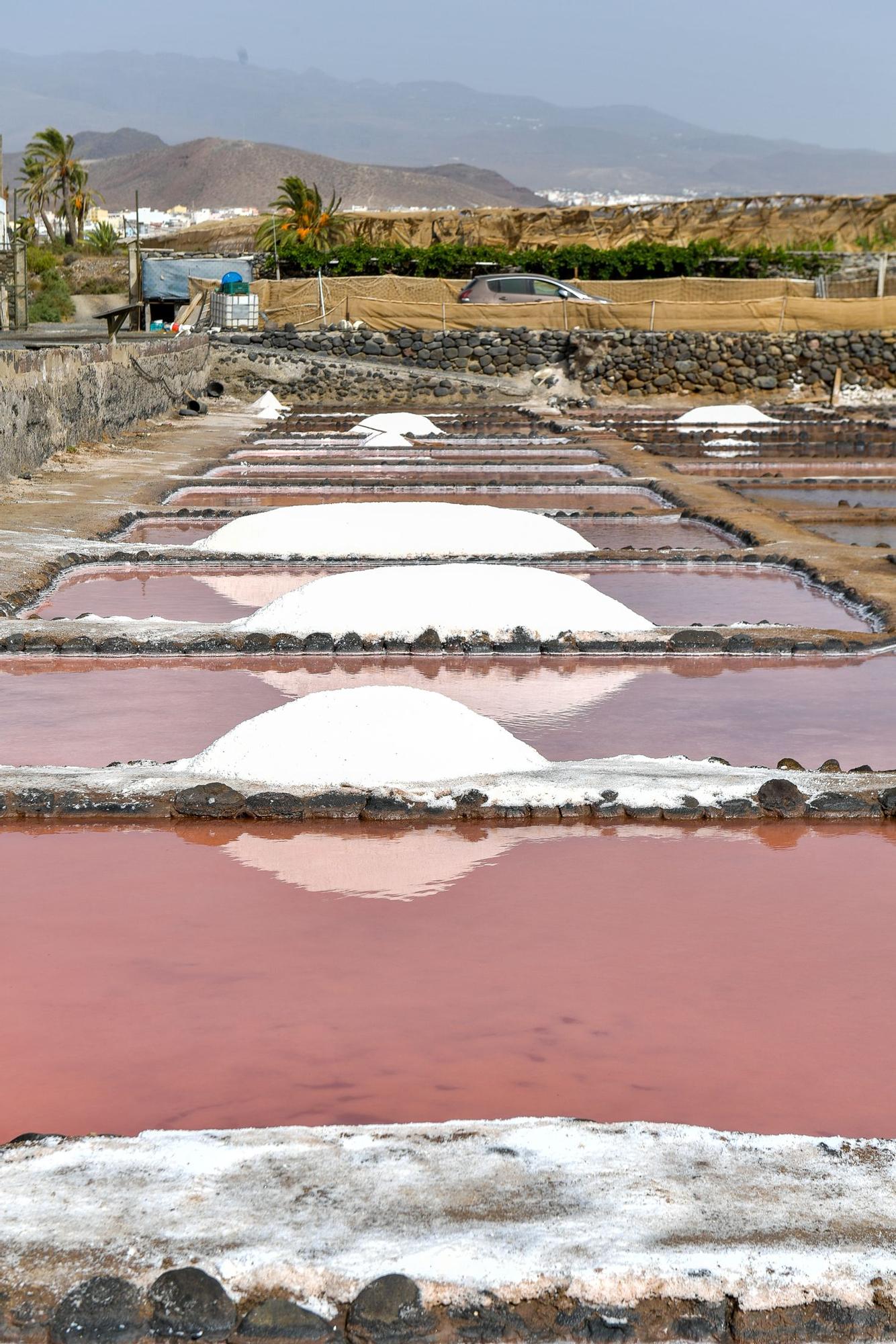 Salinas de Vargas