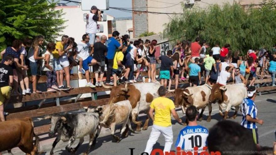 Suelta de Toros en Moratalla