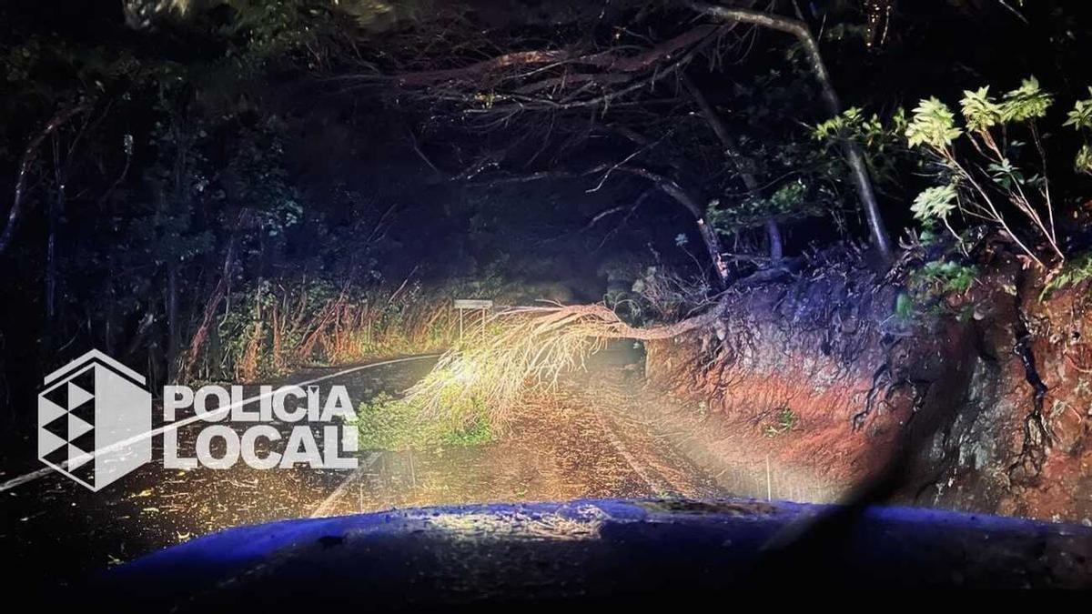 Incidencias en la madrugada del viernes 20 de marzo de 2026 por la borrasca Therese en Santa Cruz de Tenerife