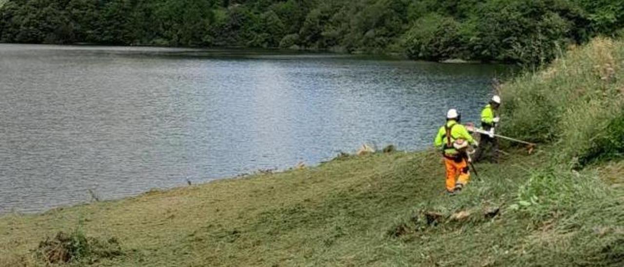 Las tareas de desbroce del entorno en el que se llevarán a cabo las obras junto al embalse de Tanes. | L. Díaz