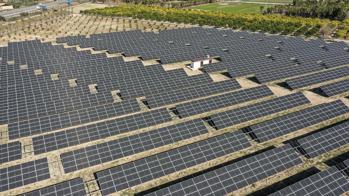 Placas solares en terrenos agrícolas de la Vega Baja