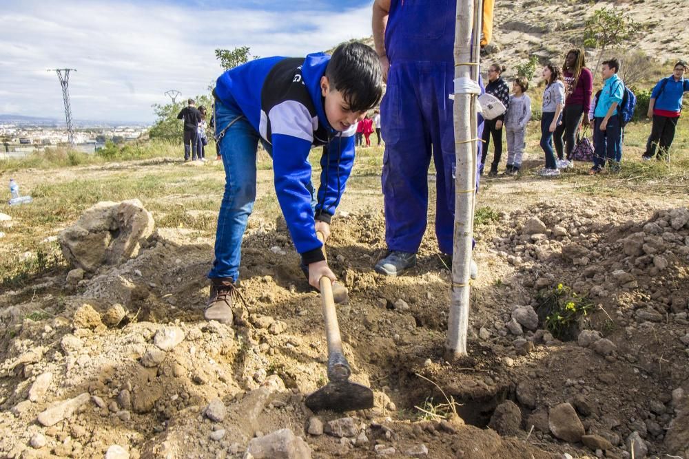 Proyecto para convertir la cantera de Cox en zona verde