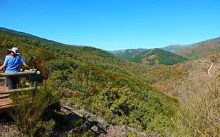 Hayedo de Montejo: el bosque más mágico de Madrid (y el más difícil de visitar si no lo planeas)