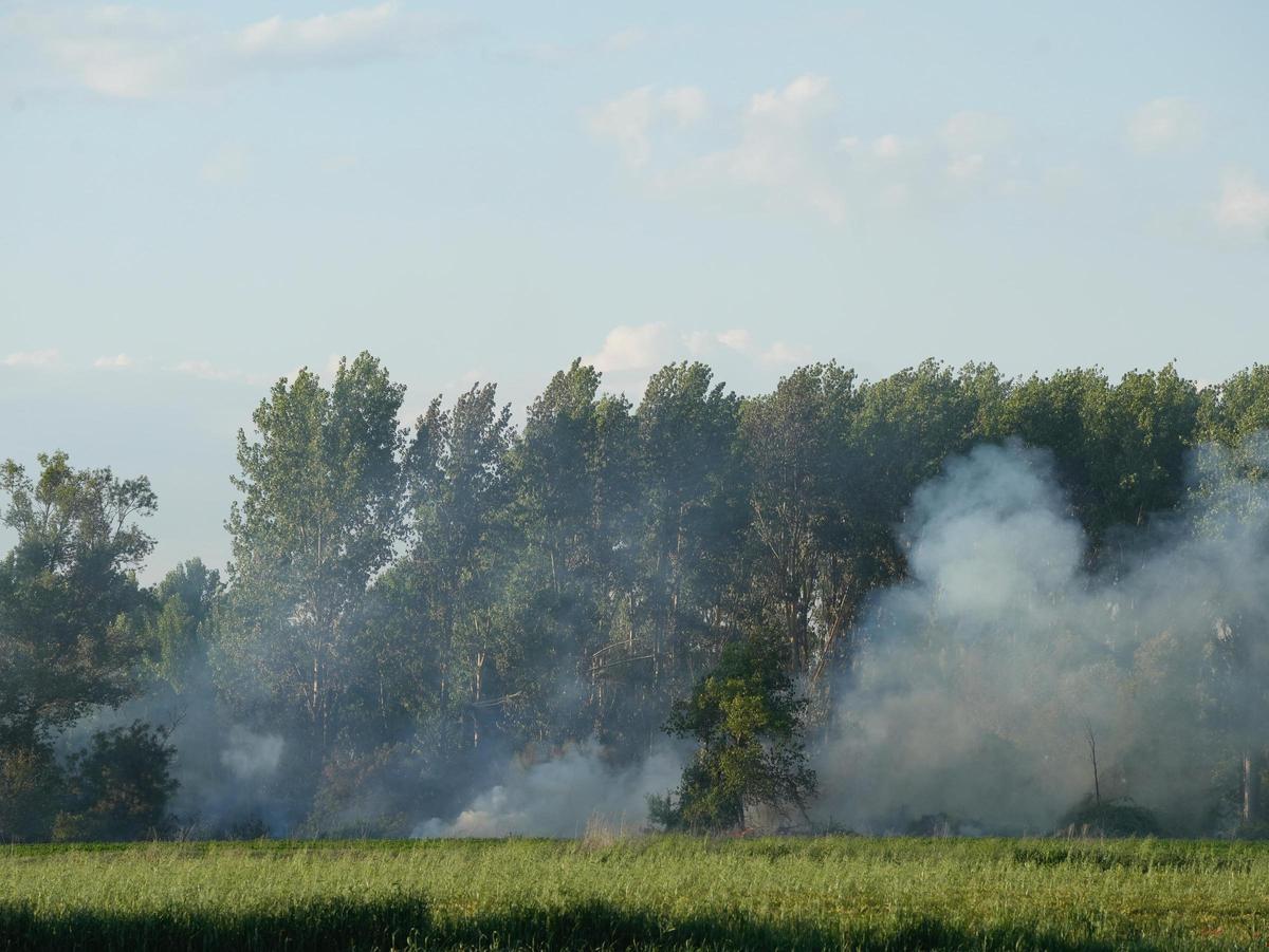 GALERÍA | Incendio en el "Plantío viejo" de Villaralbo