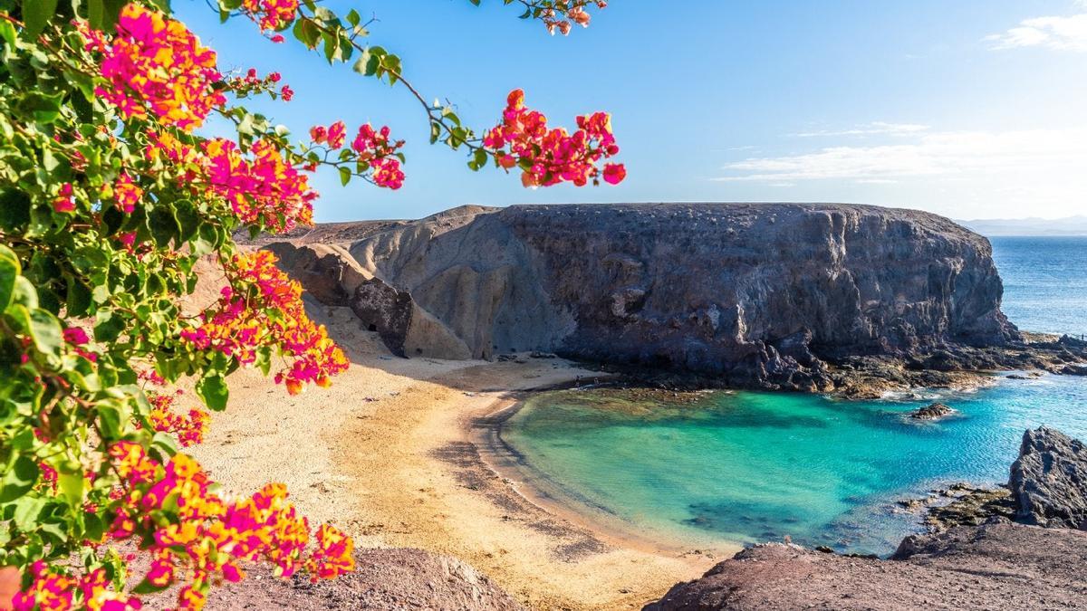 Playa del Papagayo, planes primavera