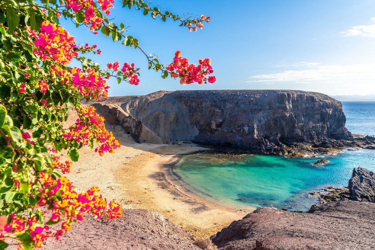 Playa del Papagayo, planes primavera