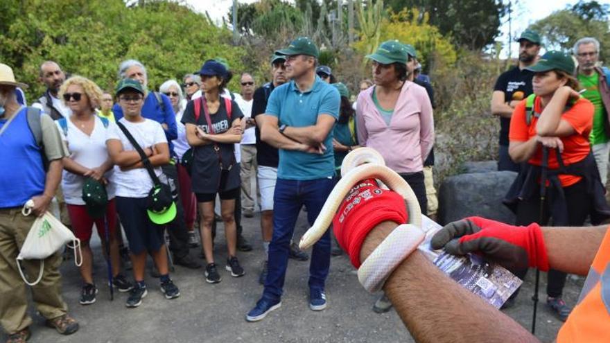 Uno de los técnicos de Gesplan sostiene una culebra en la ruta. | | ÁNGEL SARMIENTO