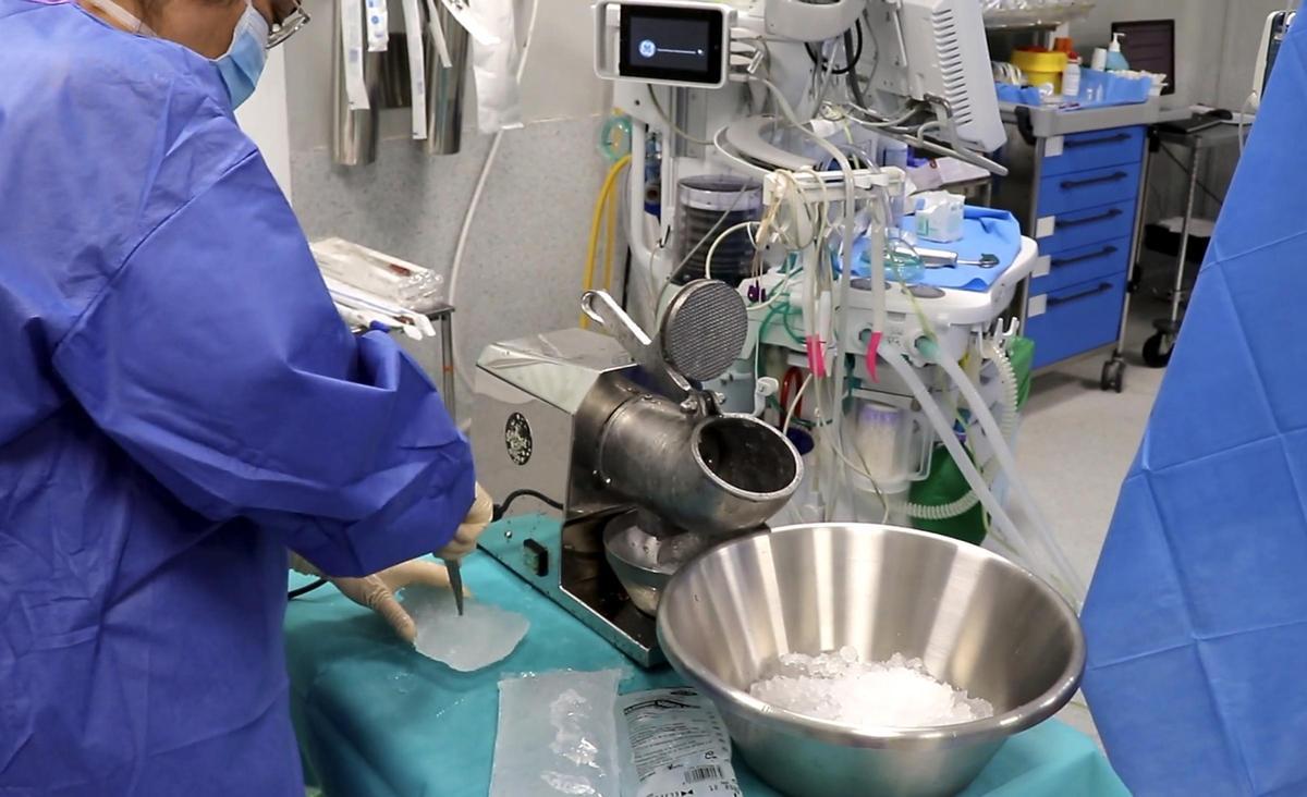 Preparación del material refrigerante (hielo picado al tratarse de suero helado) para la conservación de los órganos.