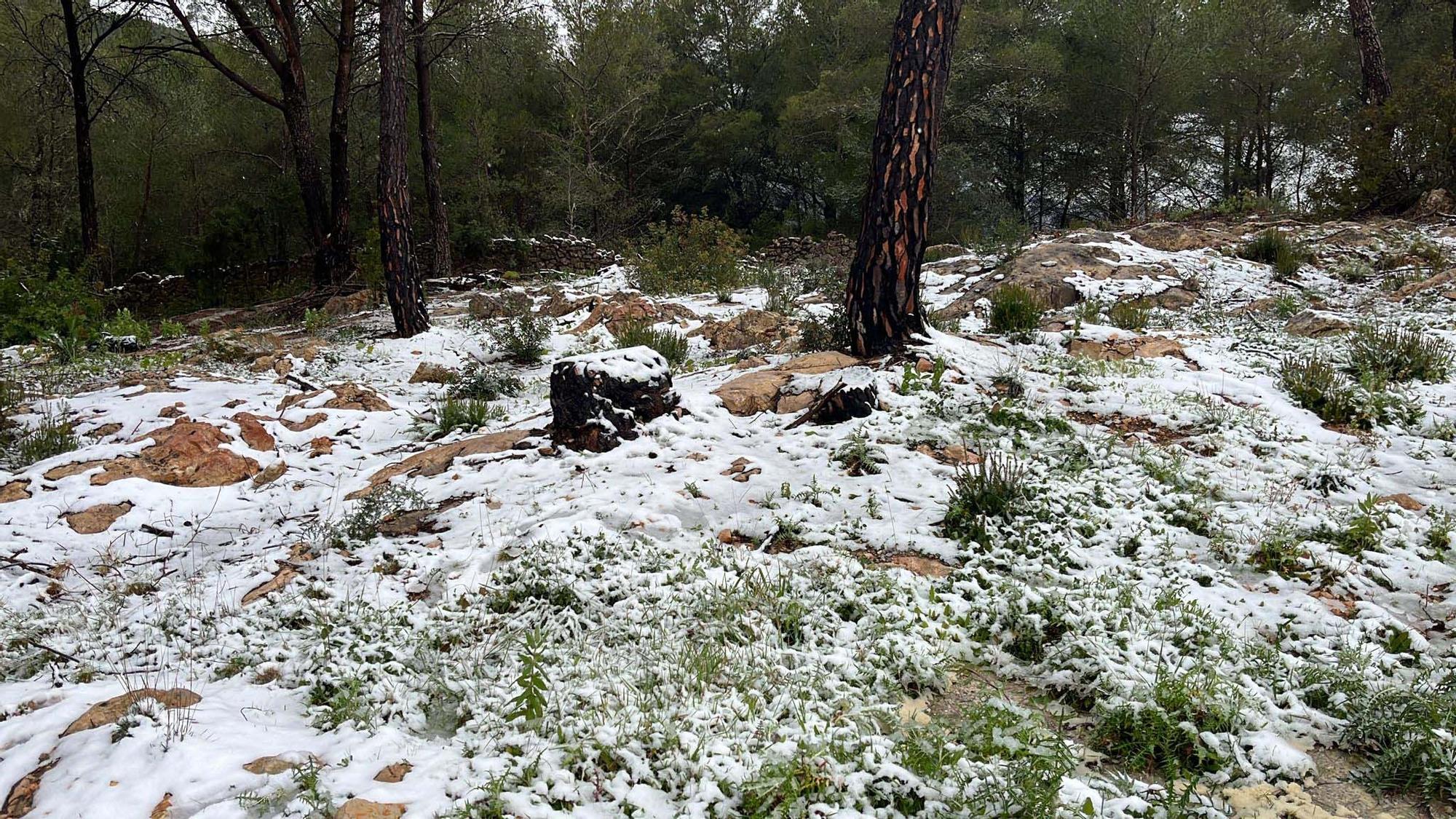 Galería de imágenes de la nevada por la borrasca Juliette en Ibiza