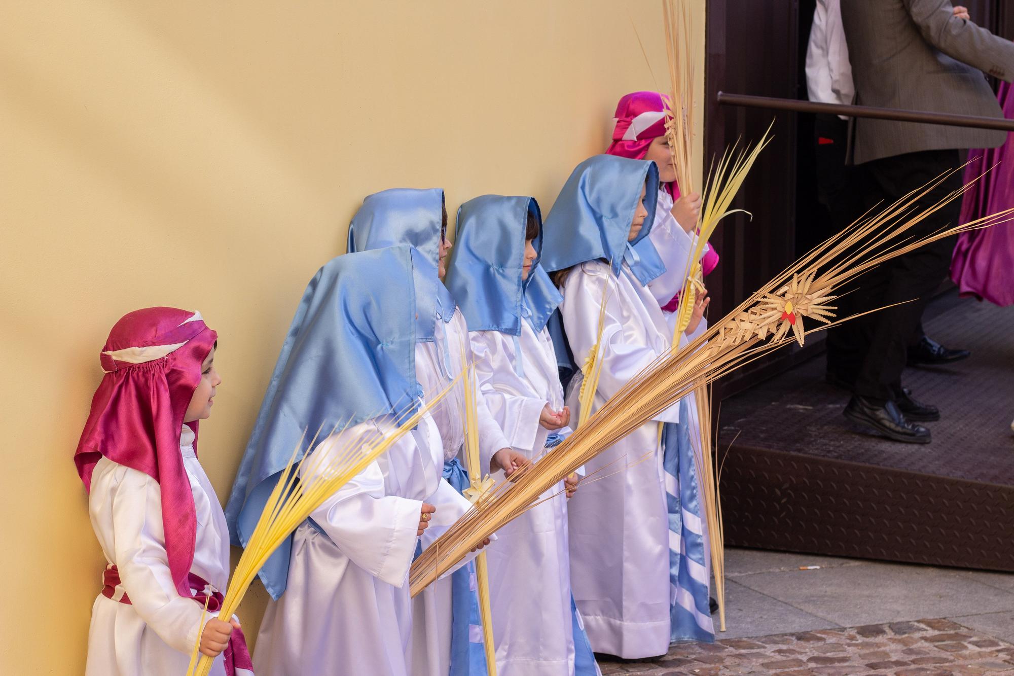 ZAMORA.DOMINGO DE RAMOS