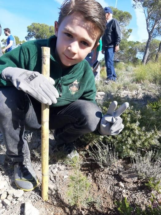 La falla Convento Jerusalén hace una repoblación forestal en Lliria