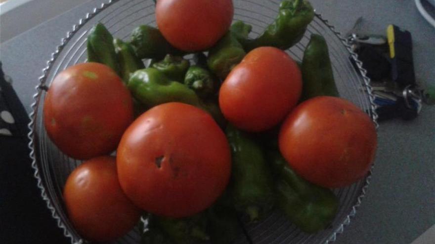 El tomate rojo y liso, benefioso frente al cáncer de colon