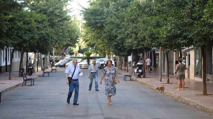 Detenidas tres personas por un robo con fuerza en un comercio de La Viñuela