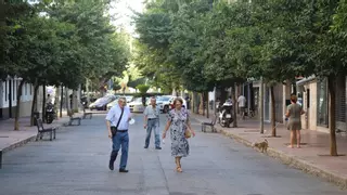 La esperada reforma de la avenida de La Viñuela comenzará este verano
