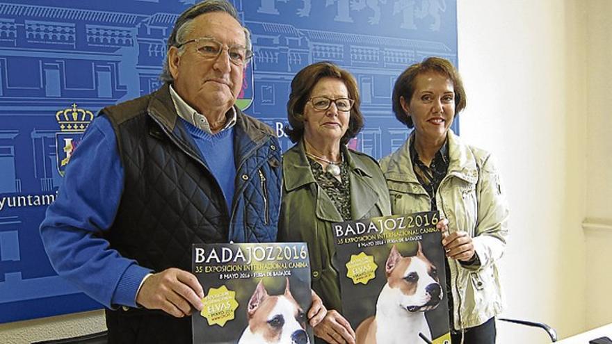 La 35 Exposición Internacional Canina reunirá a 1.100 perros