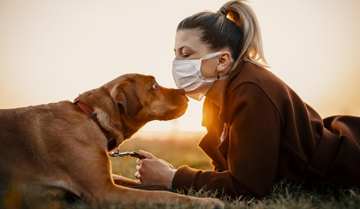 El 30 % de las mujeres víctimas de violencia machista tienen animales de compañía.