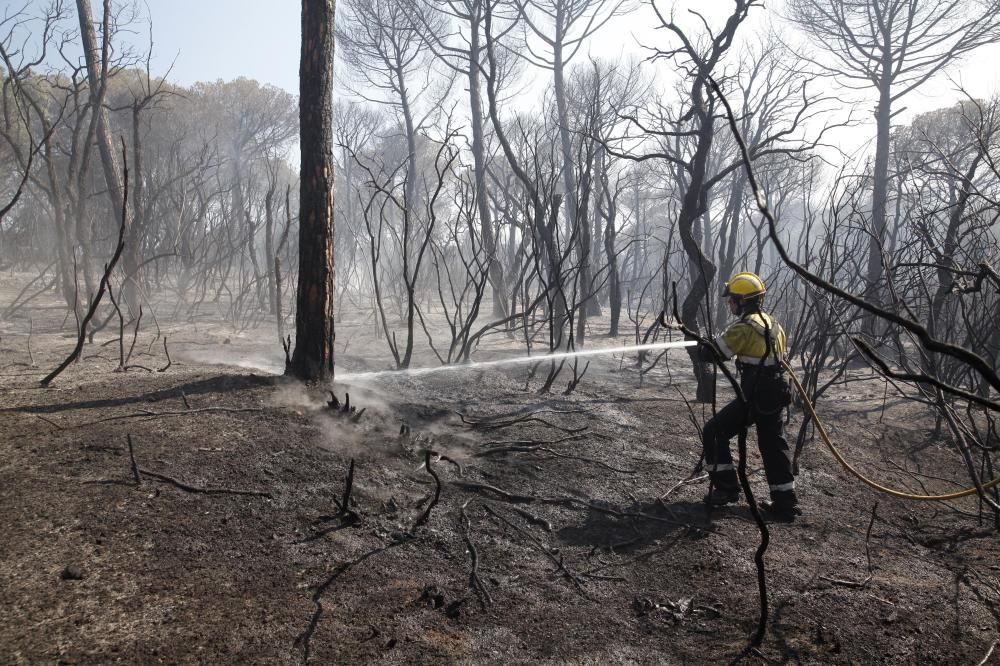 Incendi forestal a Blanes