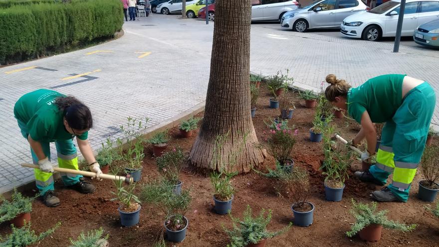 Mil metros cuadrados más de verde en Alaquàs