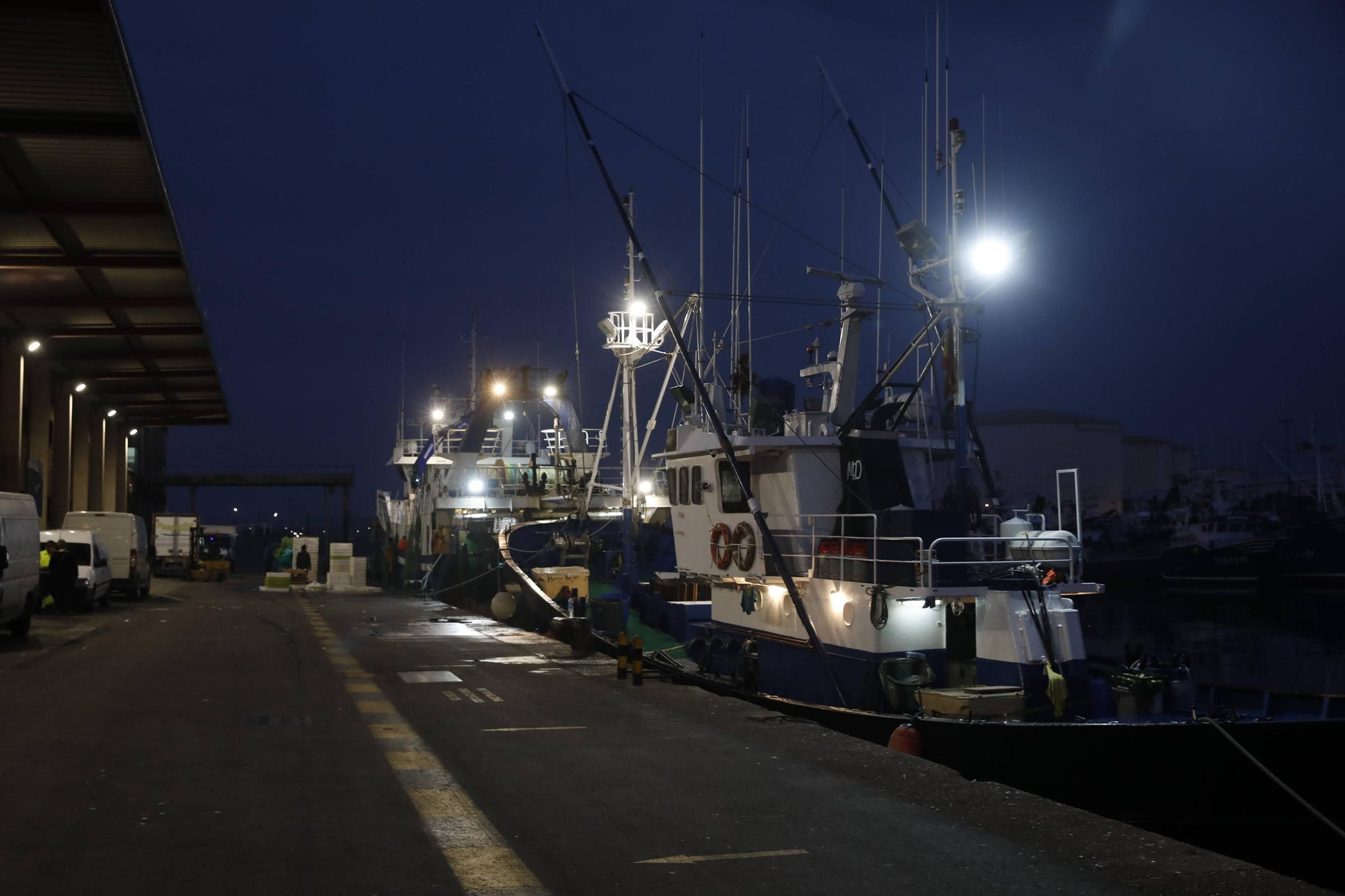 La primera descarga del bonito en la lonja de Gijón, en imágenes