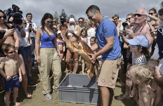 Las Palmas de Gran Canaria, 21 de febrero de 2017.- El director del Centro de Recuperación de Fauna del Cabildo de Gran Canaria, Pascual Calabuig,  liberó un ejemplar de garza real, otro de ánade real y una tortuga, todos ellos recuperados de sus heridas en las instalaciones del Cabildo de Gran Canaria.CABILDO/J.PÉREZ CURBELO