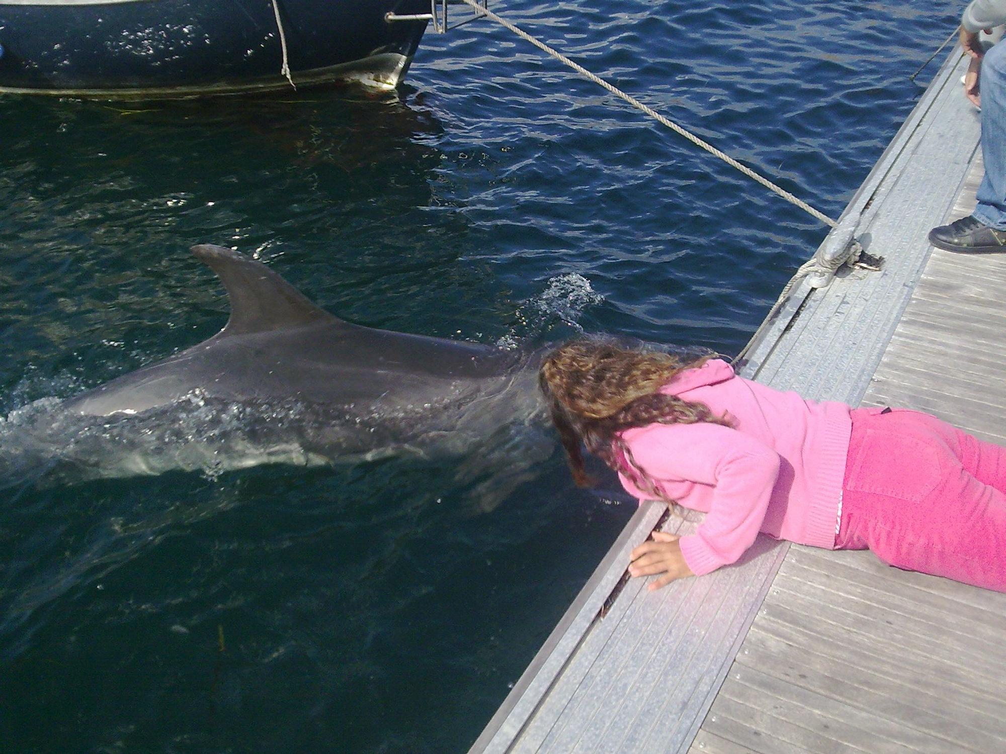 Recuerdos del delfín Gaspar, el amigo que necesita Manoliño