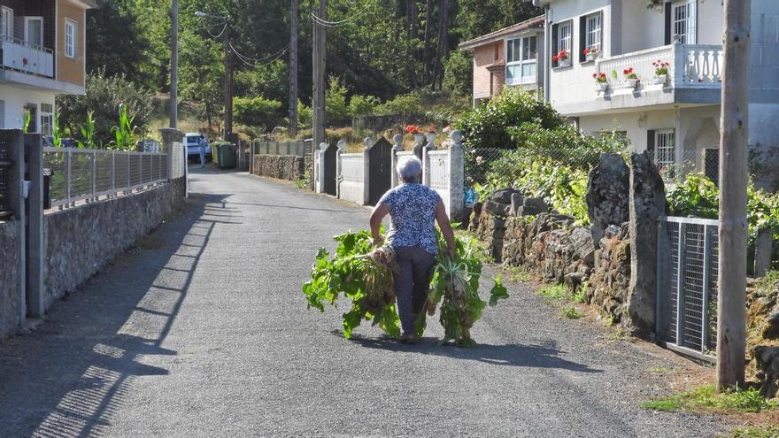 El envejecimiento y el abandono rural deja las huertas familiares en el dato más bajo en 12 años